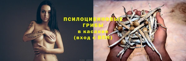 мяу мяу мука Бородино