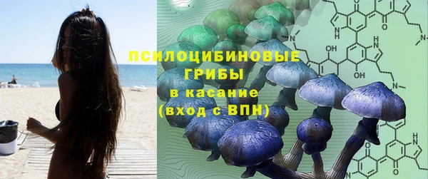мяу мяу мука Бородино