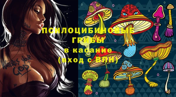 трава Бугульма