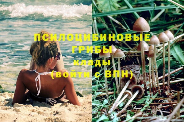 мяу мяу мука Бородино